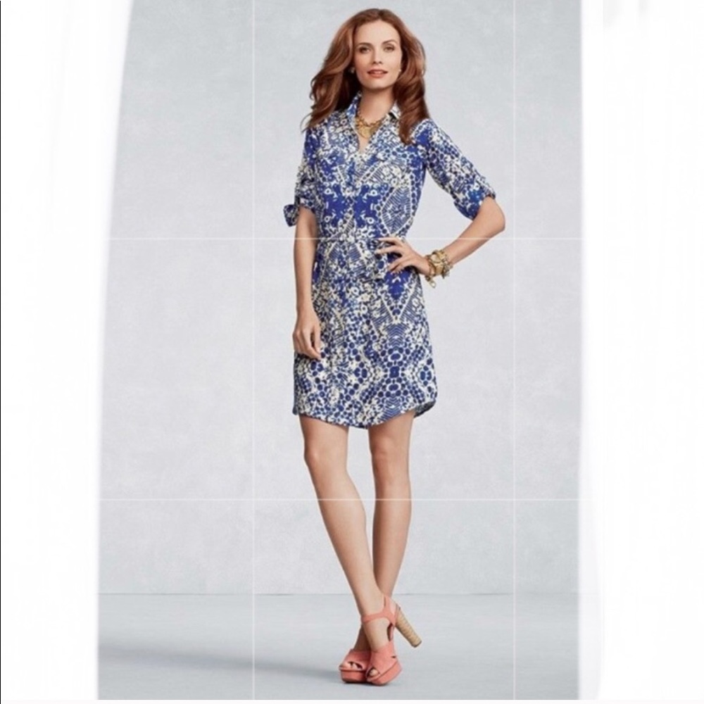 Cabi Shirt Dress